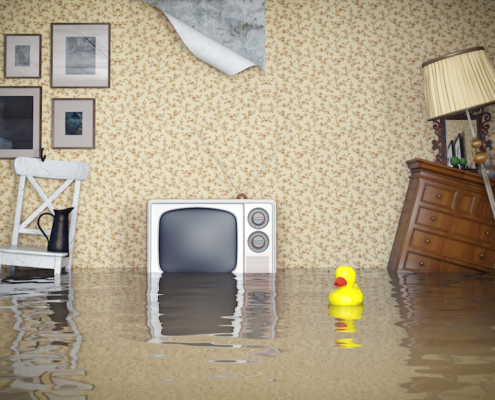Überschwemmung im Wohnzimmer schnell beseitigen